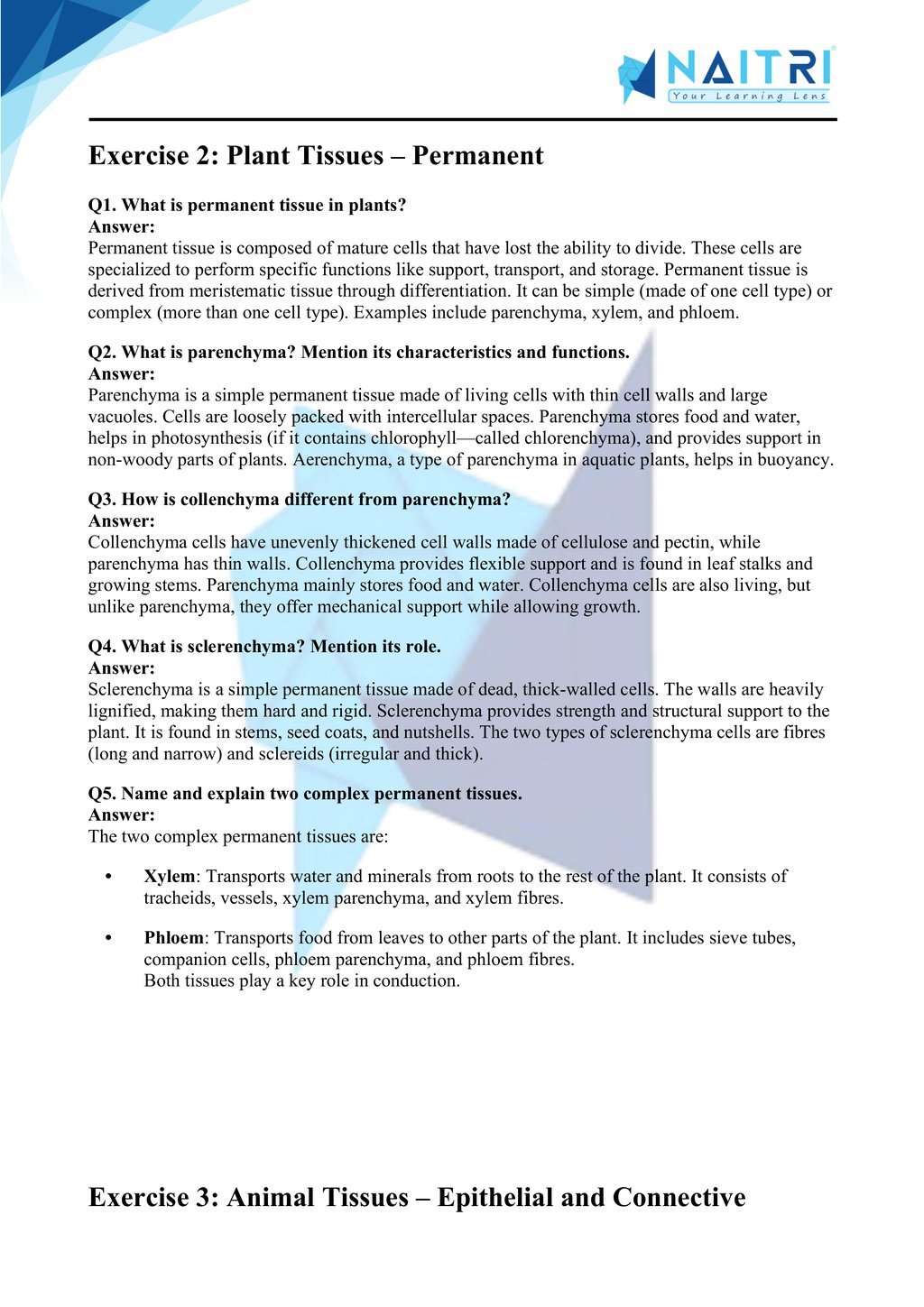 Mp Board solutions for class 9 science chapter 6 - Tissues part 2
