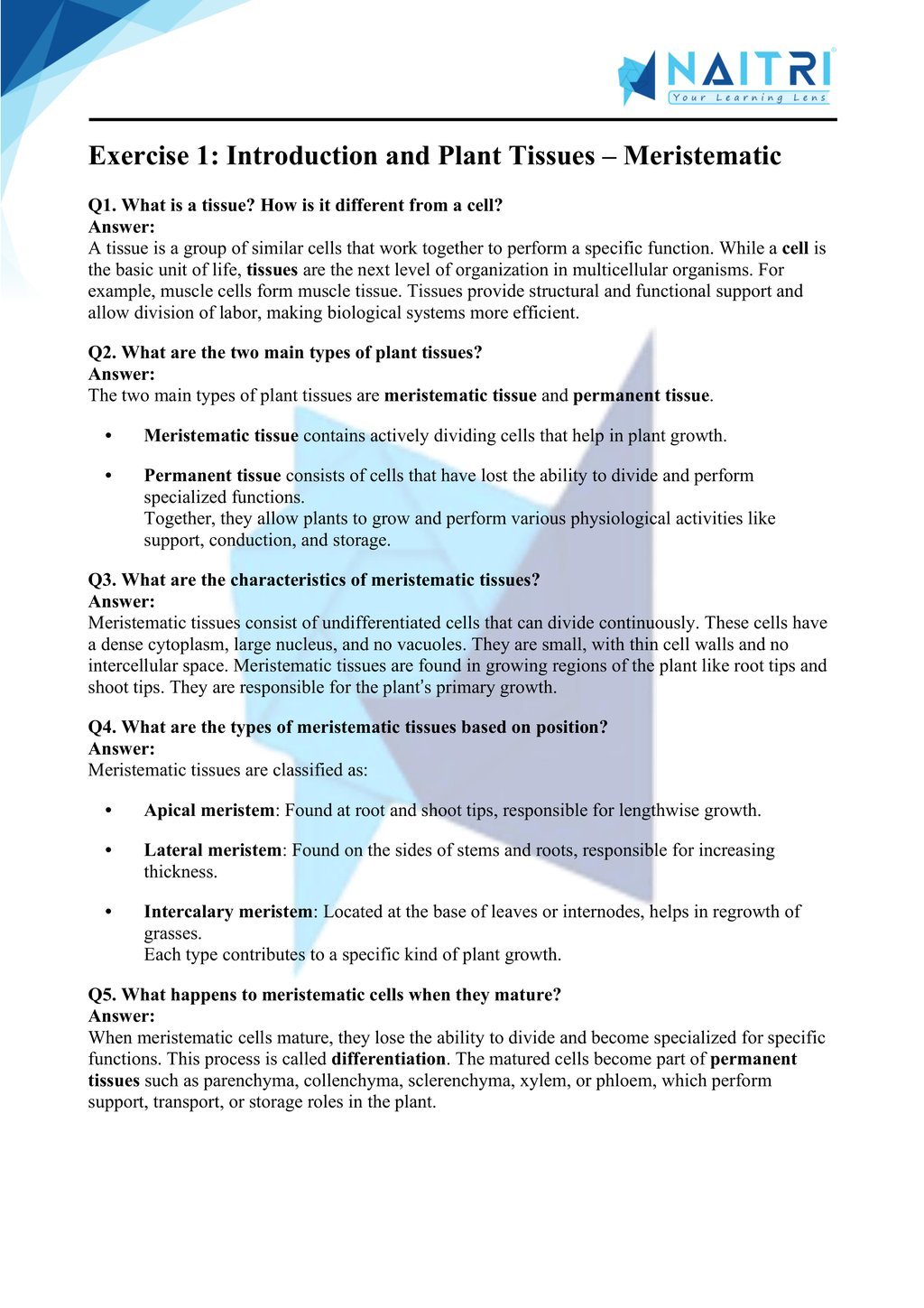 ncert solutions for class 9 science chapter 6 - tissues part 1