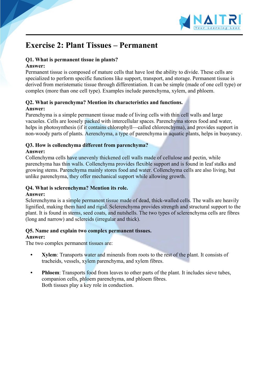ncert solutions for class 9 science chapter 6 - tissues part 2
